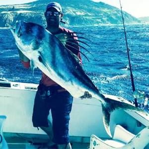 Meet your Posher, Peter